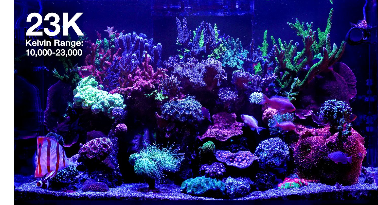 Reef LED 60 Red Sea G2