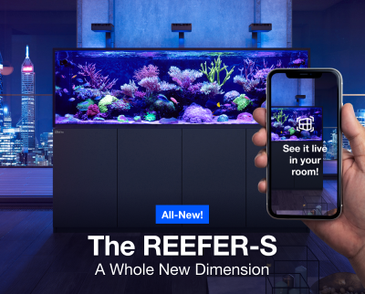 Red Sea REEFER-S 1000 G2+ Aquarium