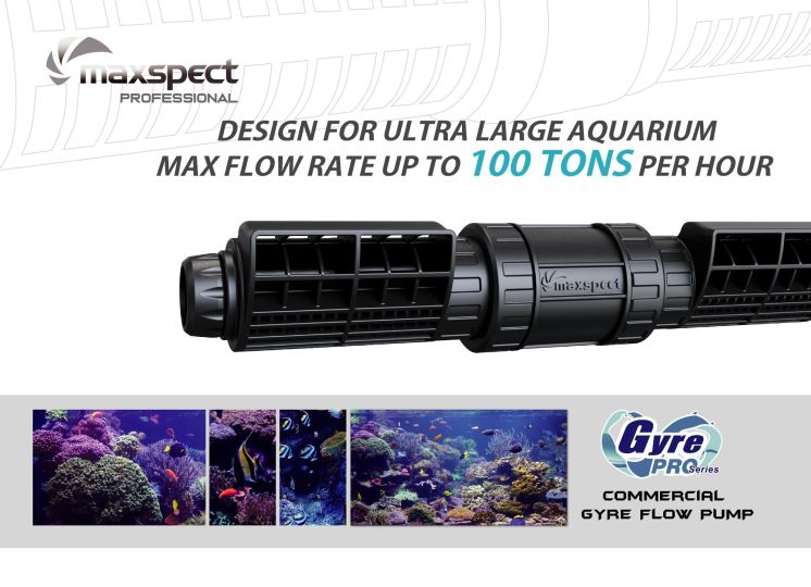 Gyre Maxspect  Pro XFP1400