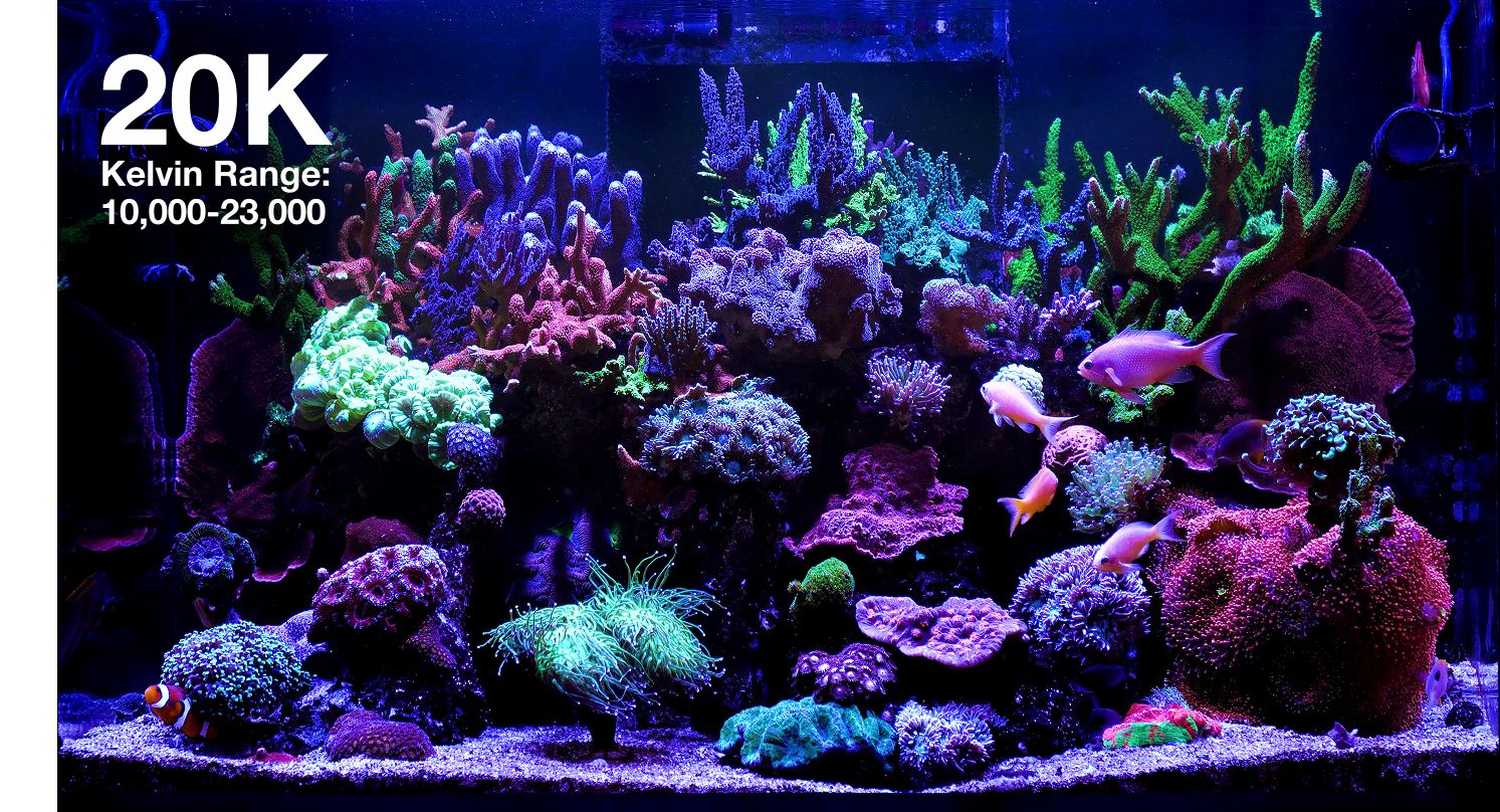 Reef LED 60 Red Sea G2