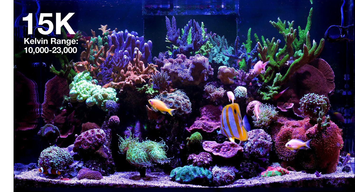 Reef LED 60 Red Sea G2