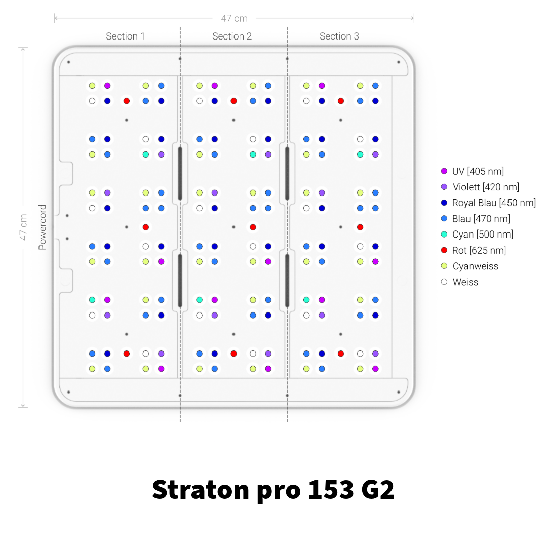 ATI Straton pro 204 Anthrazit