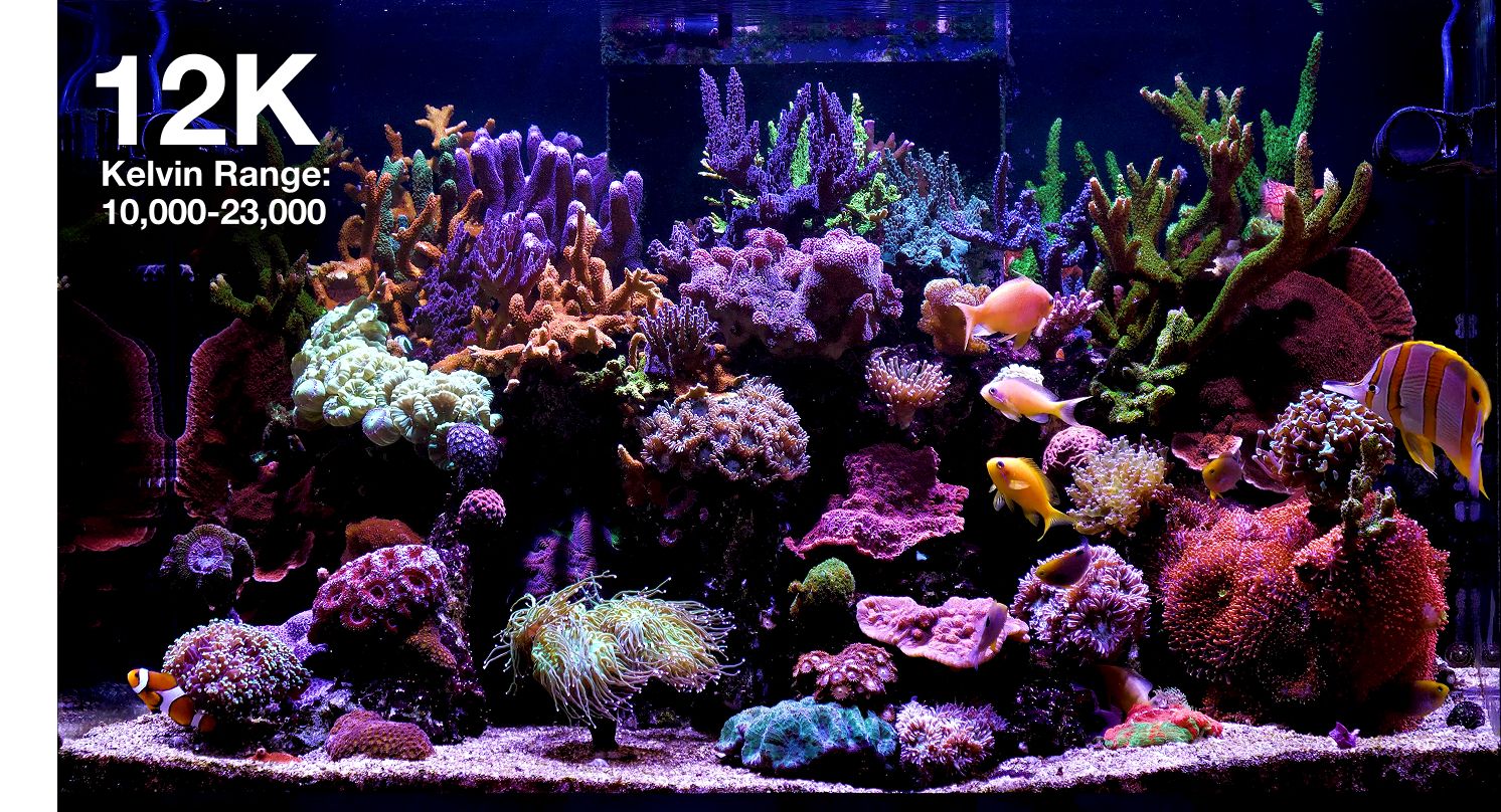 Reef LED 60 Red Sea G2