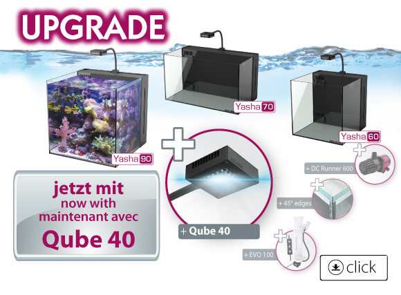 Aqua Medic Yasha 70 Meerwasser-Komplettbecken