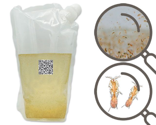 Mariner Copepoden Mix 