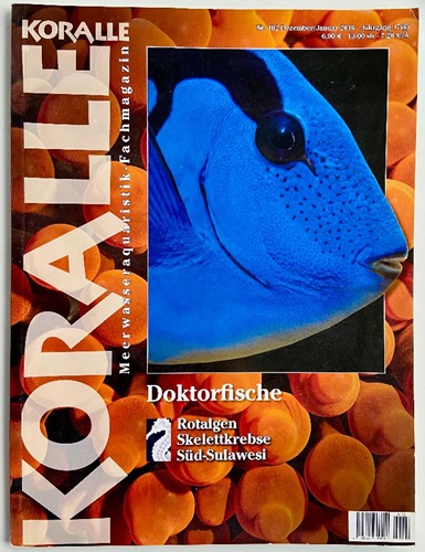 KORALLE Zeitschrift Doktorfische