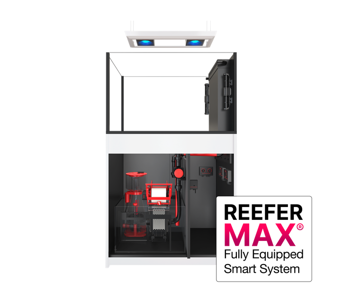 Red Sea REEFER Peninsula G2+ 350 Max