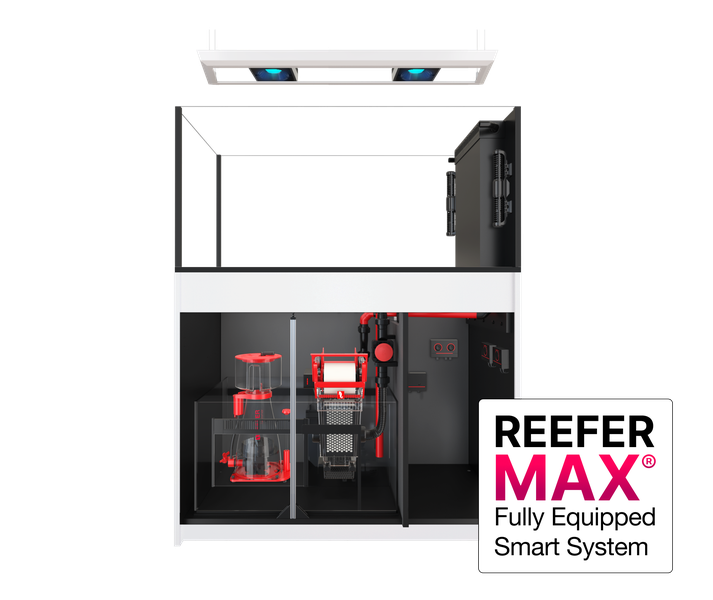 Red Sea REEFER Peninsula G2+ 500 Max 