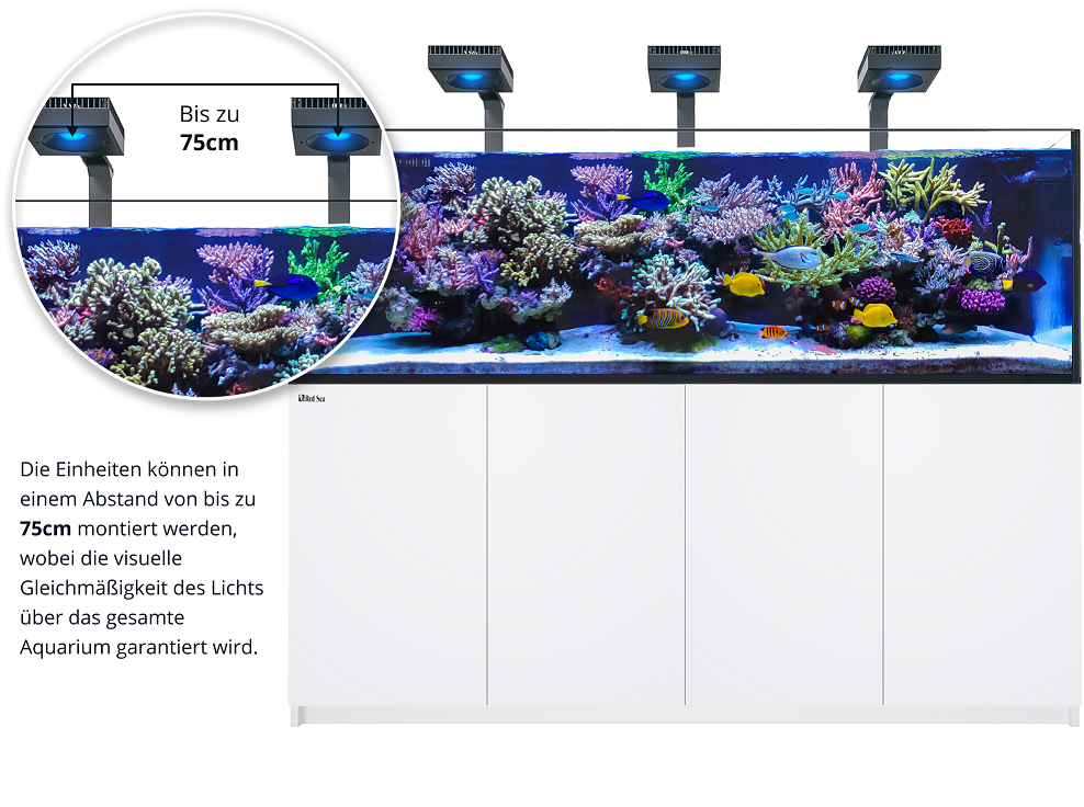 Red Sea Reefer MAX S-1000 G2+ System Schwarz