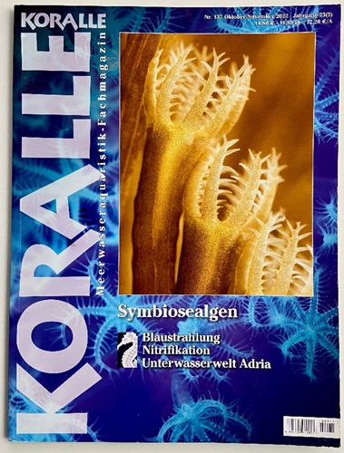 KORALLE Zeitschrift Symbiosealgen