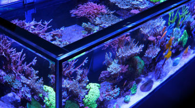 Red Sea REEFER-S 1000 G2+ Aquarium