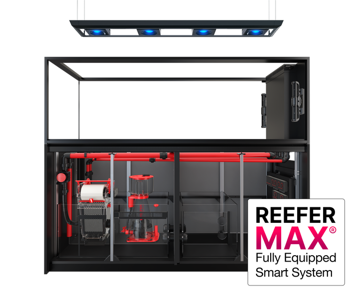 Red Sea REEFER Peninsula G2+ 950 Max 