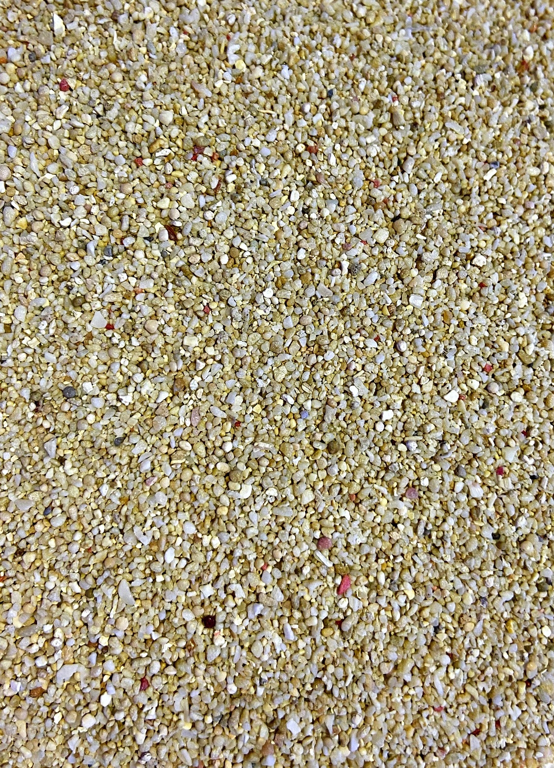 Korallensand 10kg 0,5-1mm